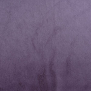 indulge 47mv plum mart visser 01