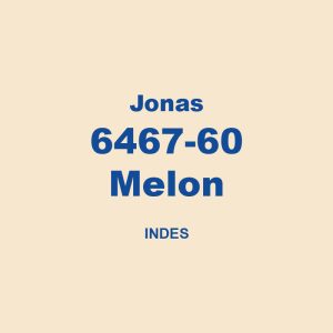 Jonas 6467 60 Melon Indes 01