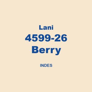 Lani 4599 26 Berry Indes 01