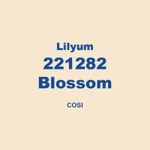 Lilyum 221282 Blossom Cosi 01