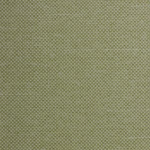 Maglia 10406 Sage Vyva Fabrics 01