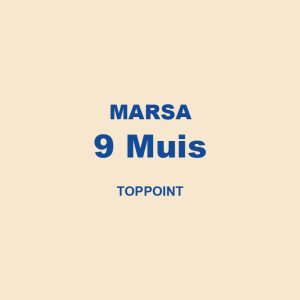 Marsa 9 Muis Toppoint 01