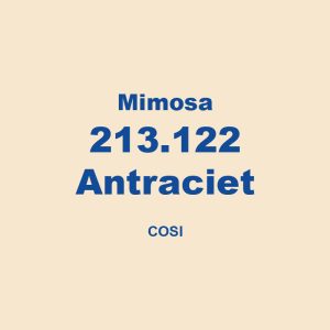 Mimosa 213122 Antraciet Cosi 01
