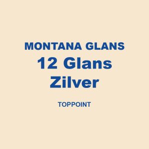 Montana Glans 12 Glans Zilver Toppoint 01