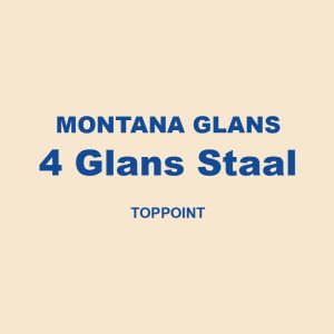 Montana Glans 4 Glans Staal Toppoint 01