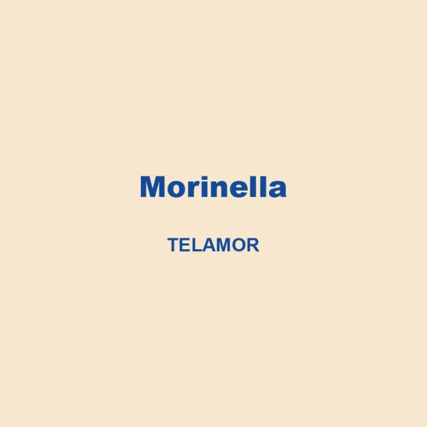 Morinella Telamor