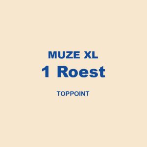 Muze Xl 1 Roest Toppoint 01