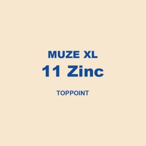Muze Xl 11 Zinc Toppoint 01