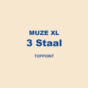 Muze Xl 3 Staal Toppoint 01