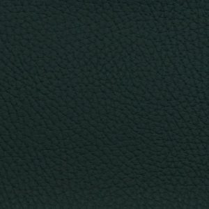 Ocean Forest Green 0031 Marine Collection Vyva Fabrics 01