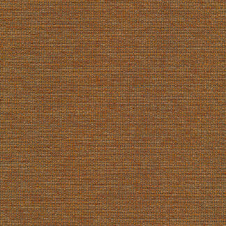 reno 27 de ploeg 01 scaled