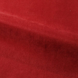 saffron 216266 tomaat cosi 01