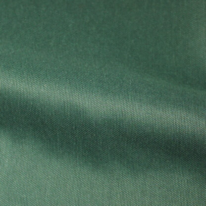 shine fr 221210 green catch 01
