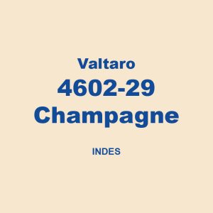 Valtaro 4602 29 Champagne Indes 01